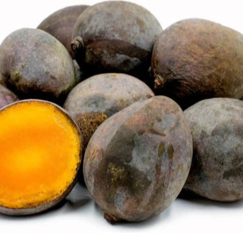 Kasturi Mango Plant (Black Mango)