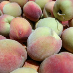 Shan e Punjab Peach Plant