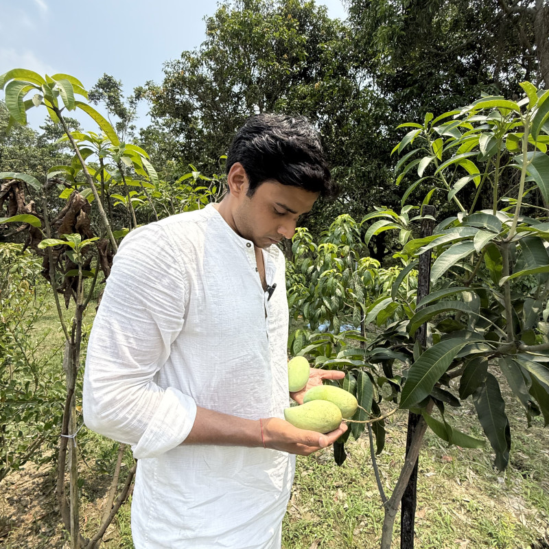 Carabao Mango (World's sweetest Mango)