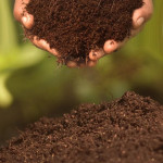 COCOPEAT