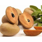 Chiku Plant (Sapota) Variety Kalipati