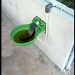 Automatic Water Bowl for Cow/Buffalo/Horse