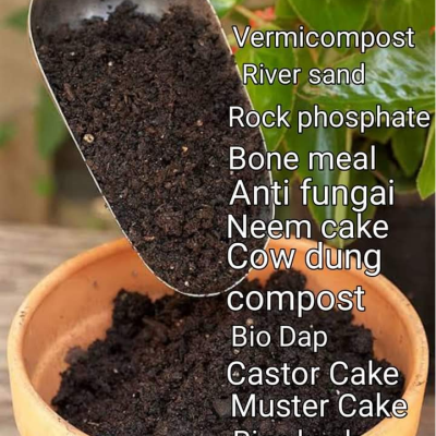 Potting Mixture 10Kgs