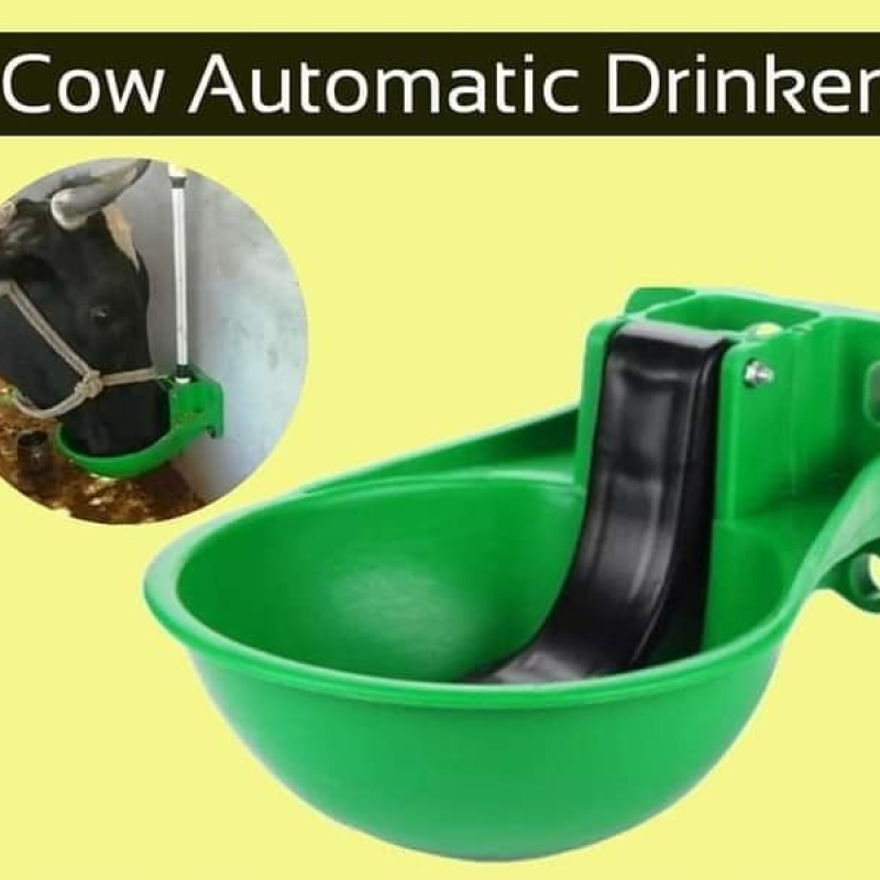 Automatic Water Bowl for Cow/Buffalo/Horse
